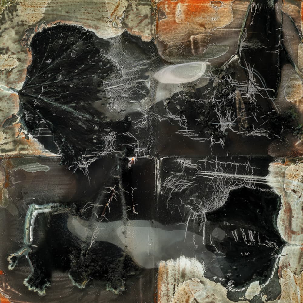 Extrait d'une sculpture de Robert Manscour